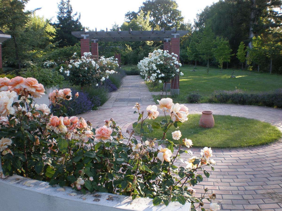 Shamrock Garden B&B Airport Christchurch Exterior photo